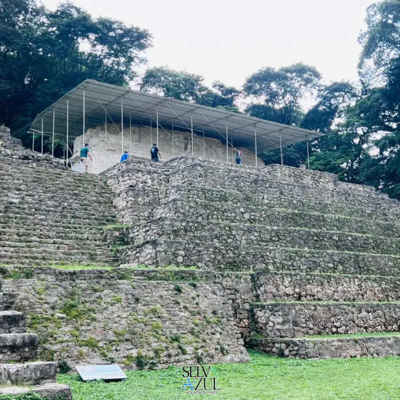 Paquete Selva Azul 8 días 7 noches 2x1