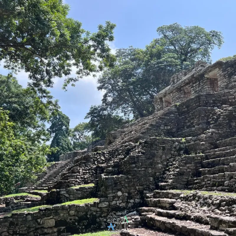 Selva Lacandona 3 días 2x1.