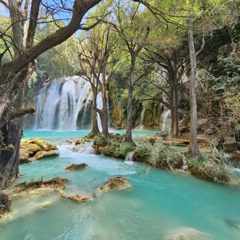 Chiapas Básico - 4 días 3 noches. 2x1