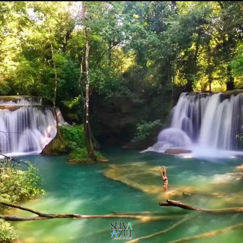 Selva Lacandona 4 días 2x1.