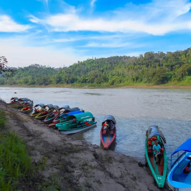 Selva Lacandona 3 días 2x1.