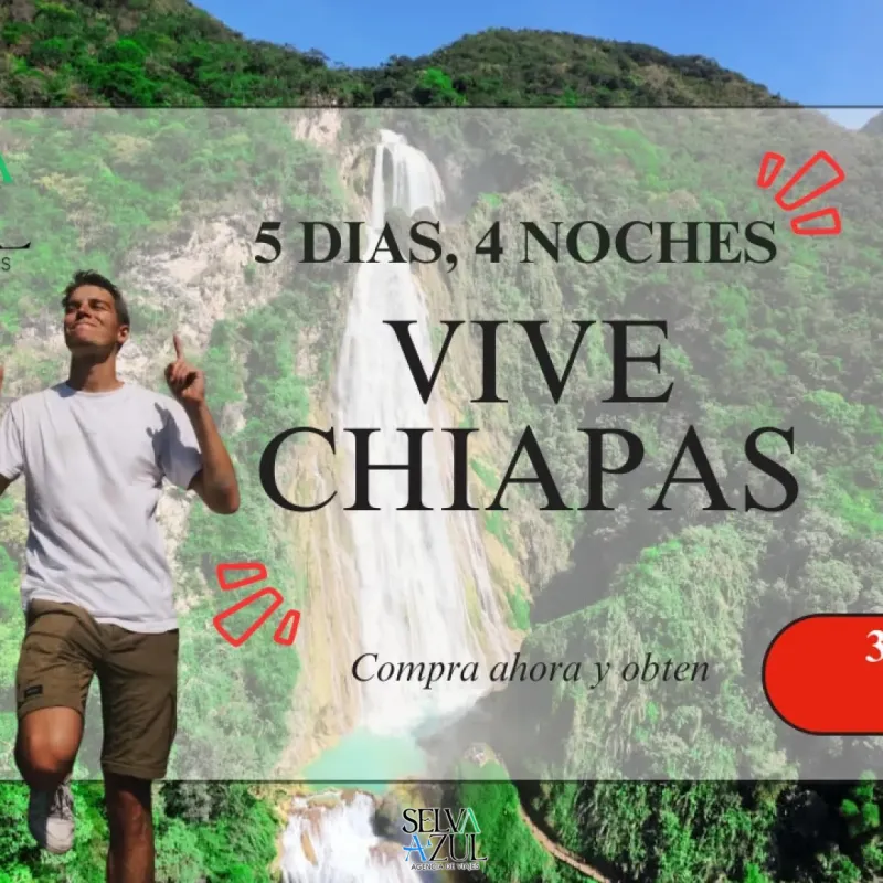 Paquete Vive Chiapas 5 días 4 noches. 2x1