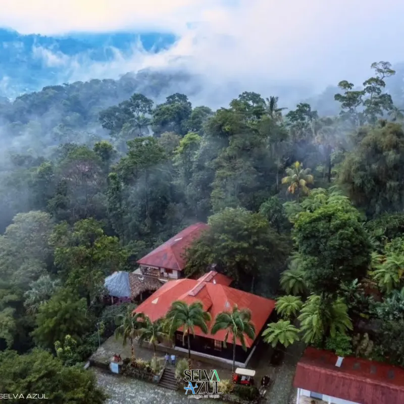 Ruta del Café Finca Hamburgo y Finca Argovia