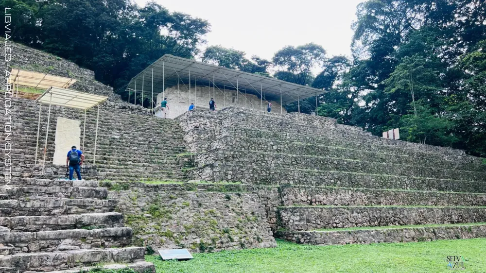 Paquete Selva Azul 8 días 7 noches 2x1