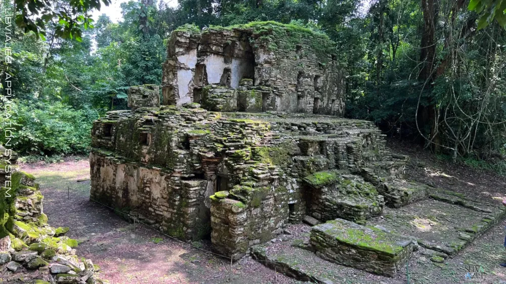  en Yaxchilan y Bonampak Selva de Chiapas.