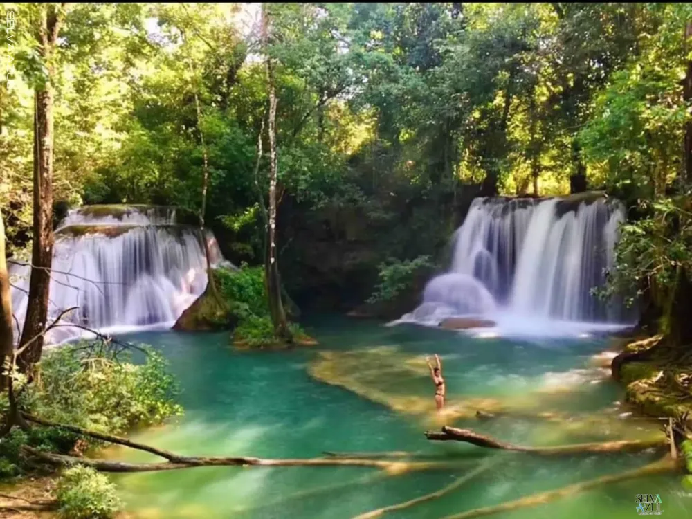 Selva Lacandona 4 días 2x1.
