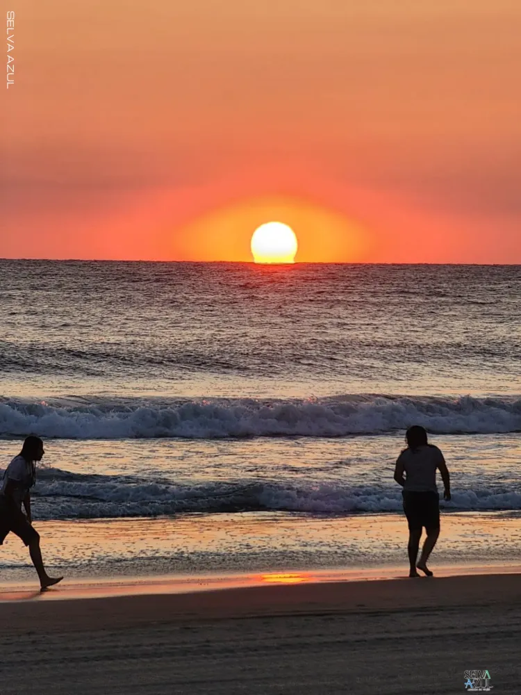 Puerto Arista, Chiapas en Playa Puerto Arista