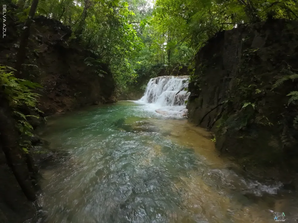  en Selva Lacandona 2 Días ( Yaxchilán  y Bonampak )