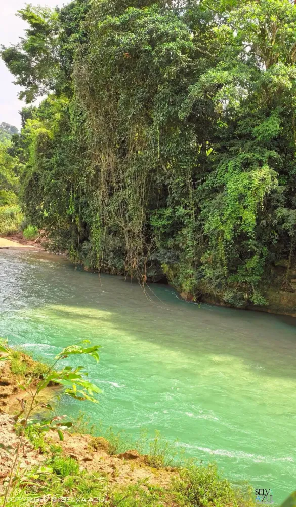 Xanil, Chiapas en Toniná y Cascada Xanil.