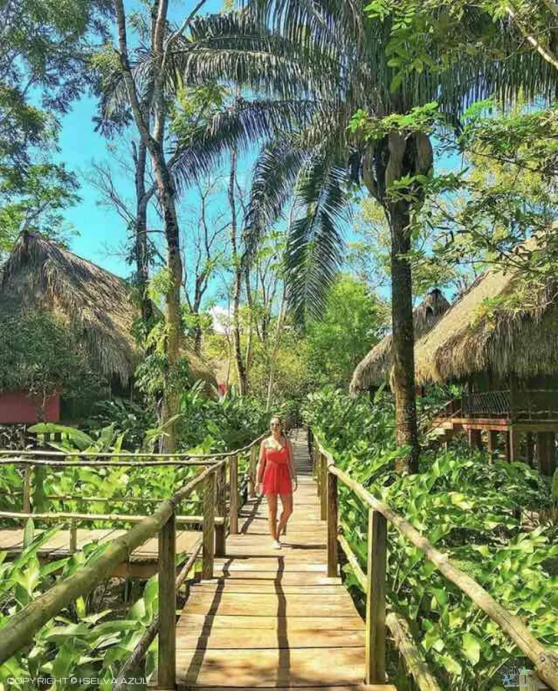 Centro las Guacamayas en Las Guacamayas y Nubes 2 días