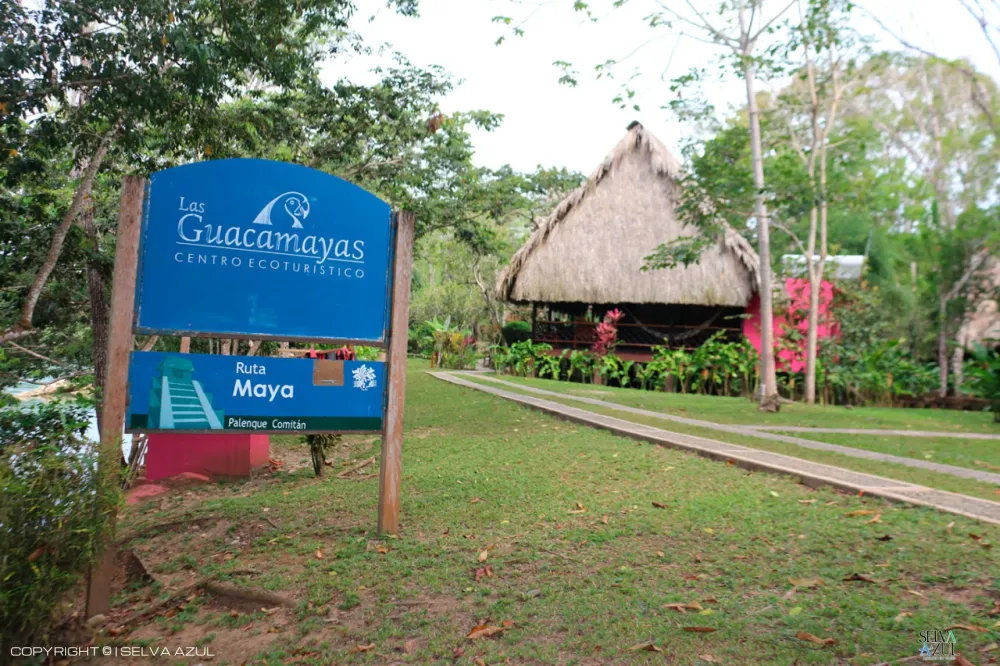  en Las Guacamayas 3 día.