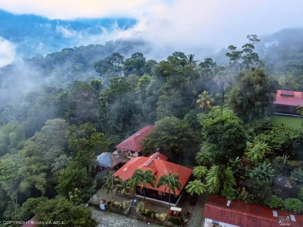 Ruta del Café Finca Hamburgo y Finca Argovia