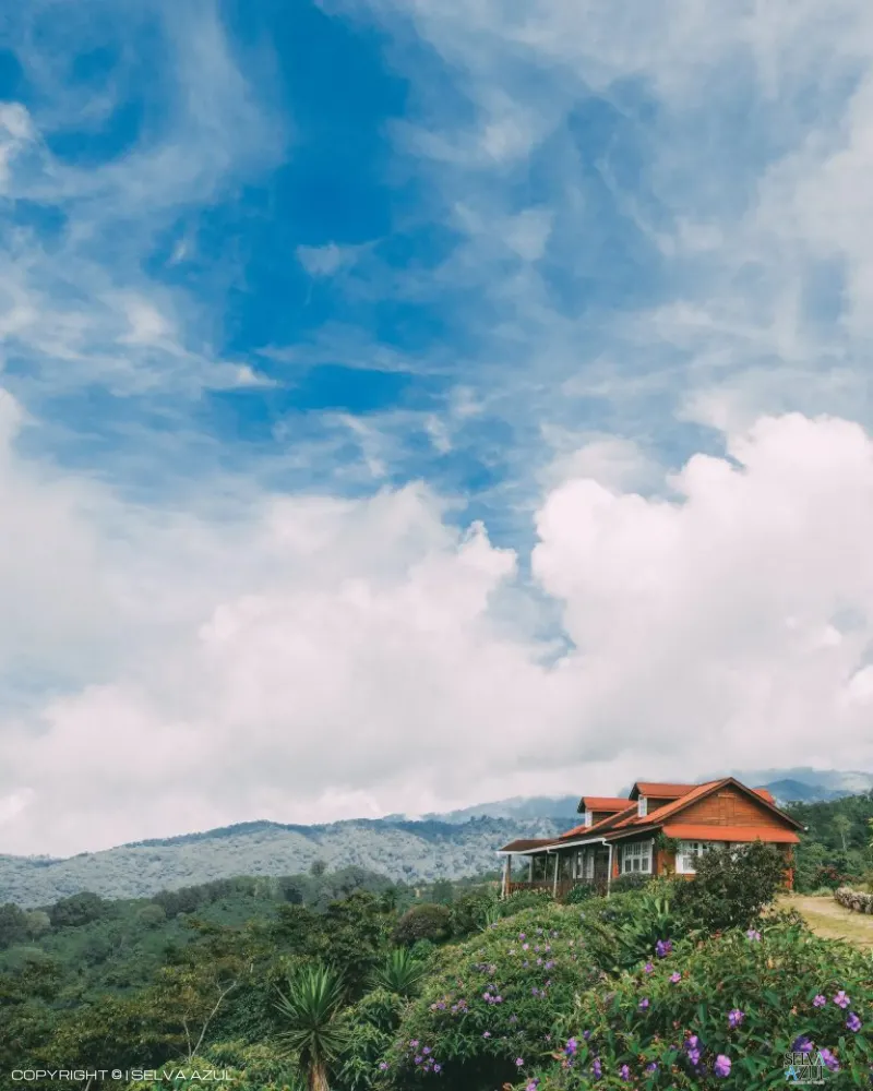  en Ruta del Café Finca Hamburgo y Finca Argovia