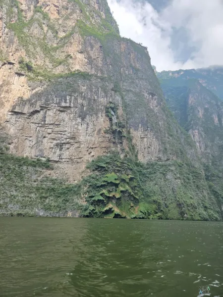 Tour 1 día Cañon del sumidero