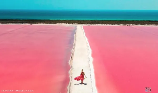  en Tren Maya 7 Días ( Chiapas y Mérida)