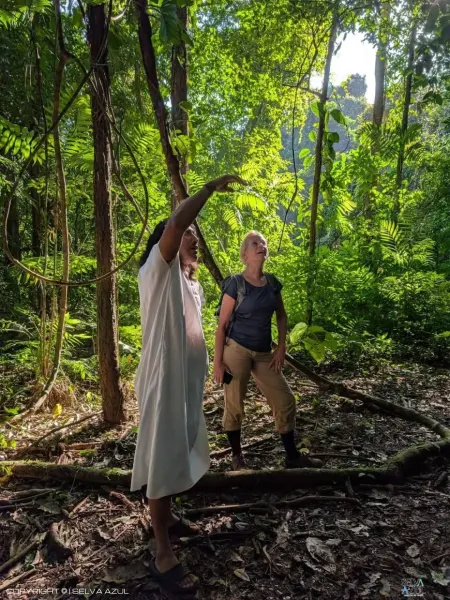  en Tren Maya 5 Días. ( Chiapas-Cancún)