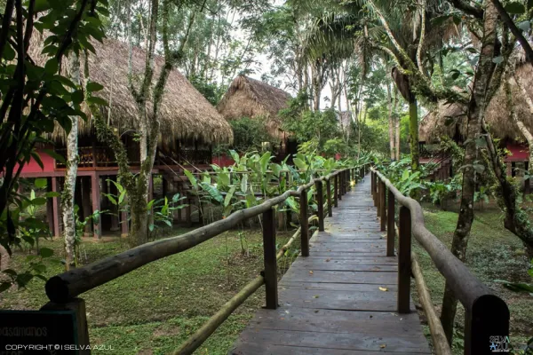  en Las Guacamayas 3 día.