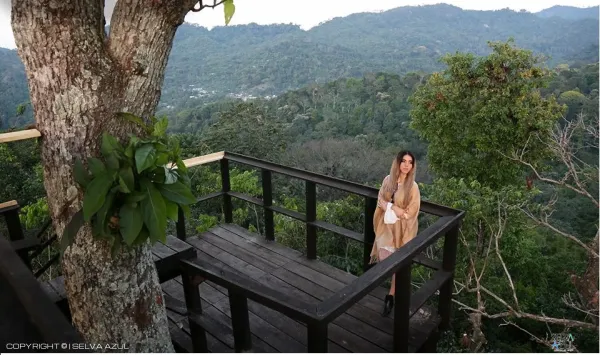  en Ruta del Café Finca Hamburgo y Finca Argovia