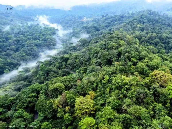  en Ruta del Café Finca Hamburgo y Finca Argovia