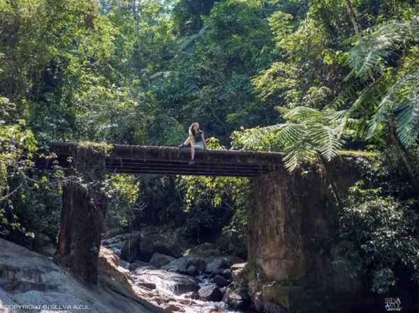  en Ruta del Café Finca Hamburgo y Finca Argovia