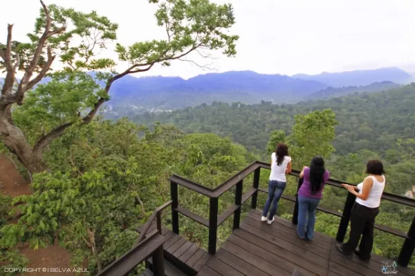  en Ruta del Café Finca Hamburgo y Finca Argovia