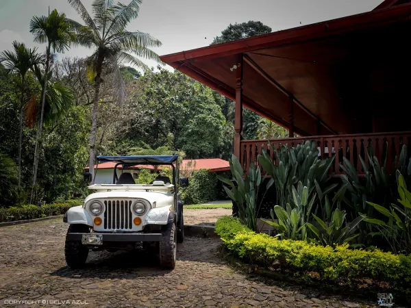  en Ruta del Café Finca Hamburgo y Finca Argovia