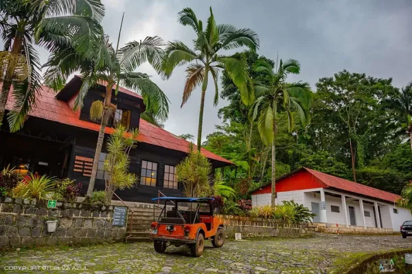 en Ruta del Café Finca Hamburgo y Finca Argovia