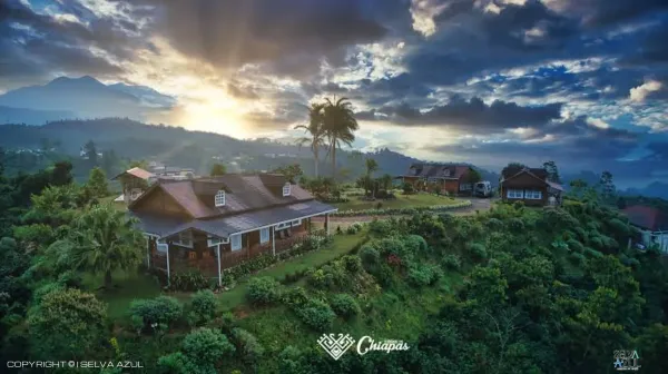  en Ruta del Café Finca Hamburgo y Finca Argovia